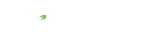 JIVO ENERGY