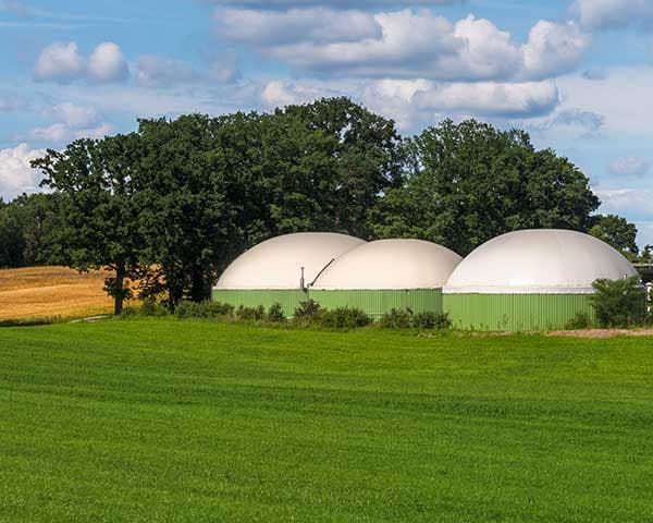 Biogas & Biomethane