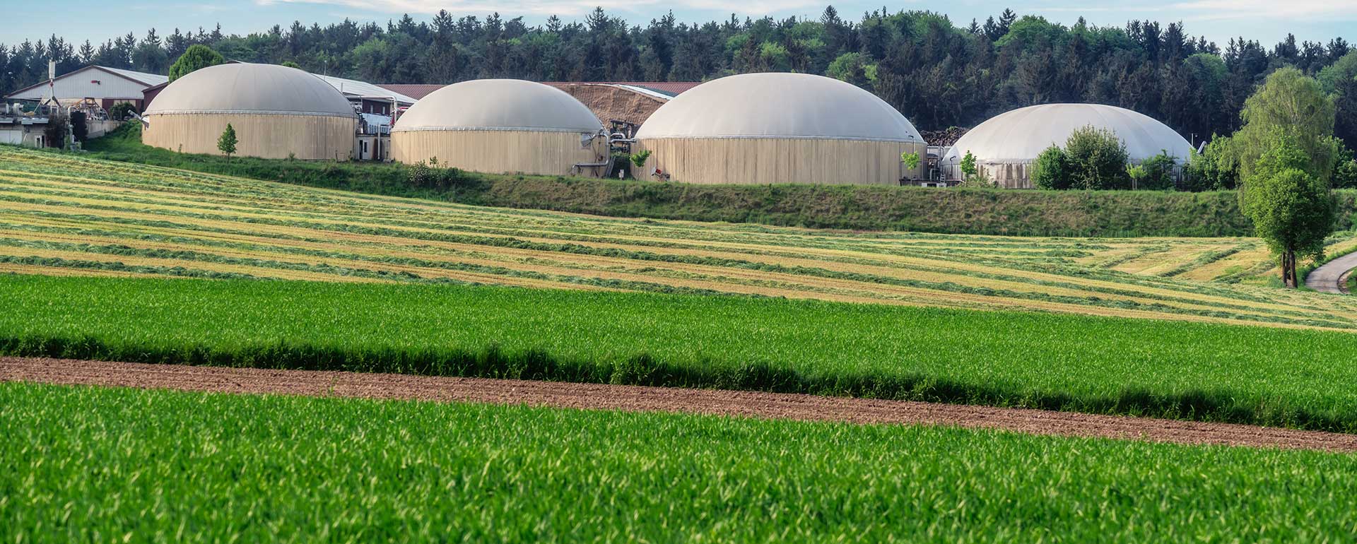 Biogas & Biomethane