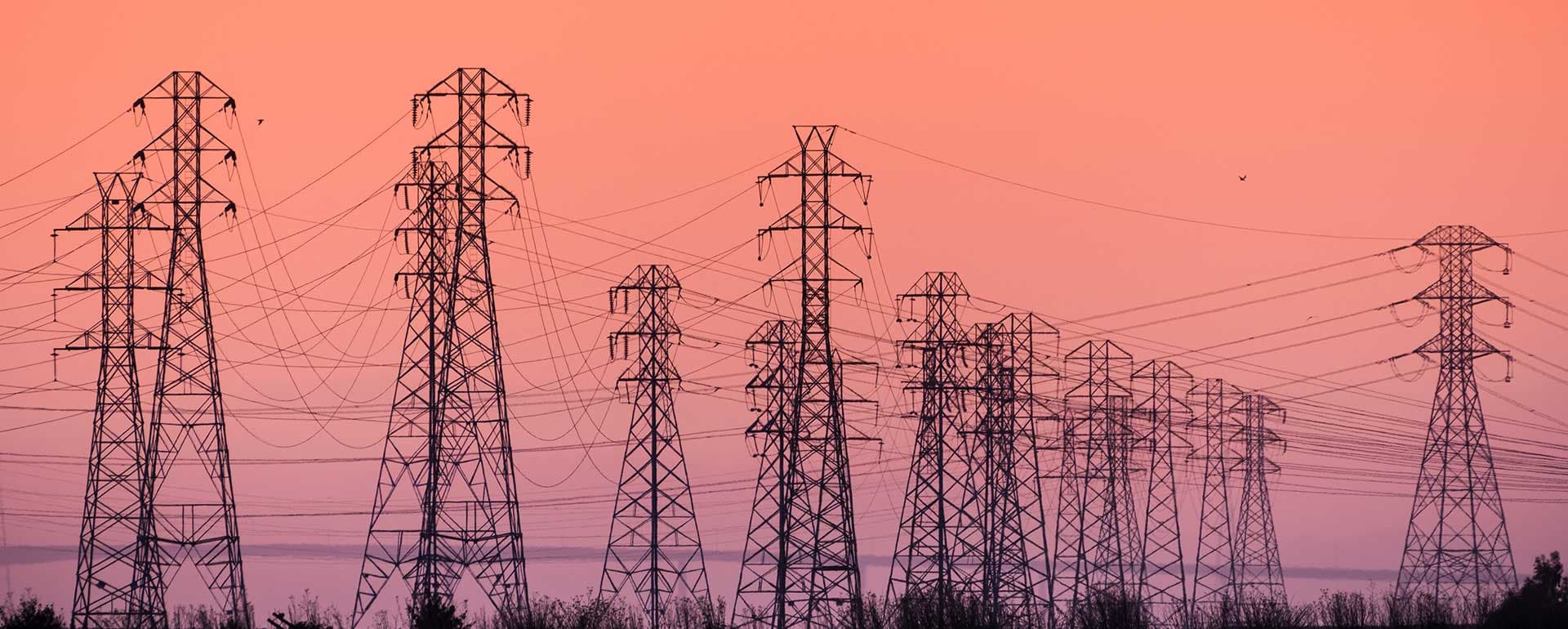 Transmission & Distribution