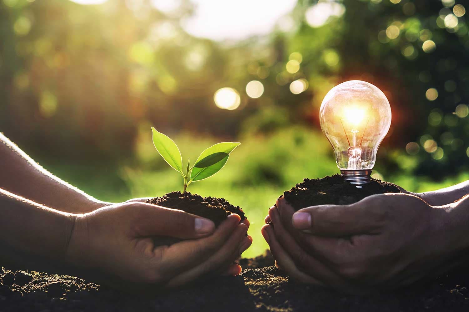Sustainability